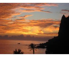 Excellent 2 bedroom apartmen  Madeira island