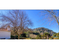 Detached Charimg House in Lisbon