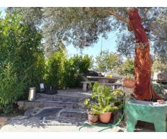 Excellent T5 house with 3 floors and good sun exposure