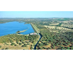12.250m2 Rural Property - House ready to use - ECOPARK - ALENTEJO