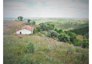 Old farmhouse property for sale