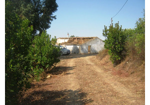 Old farmhouse property for sale