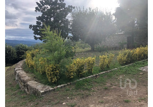 Villa is located in a quiet and isolated area of the city of Santa Ovaia