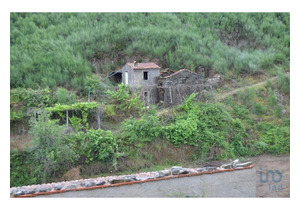 Isolated farm with 1 hectare, with storage house and stone house to rebuild.