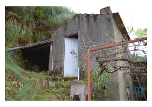 Isolated farm with 1 hectare, with storage house and stone house to rebuild.