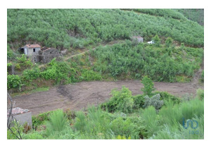 Isolated farm with 1 hectare, with storage house and stone house to rebuild.