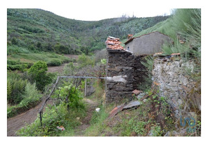 Isolated farm with 1 hectare, with storage house and stone house to rebuild.