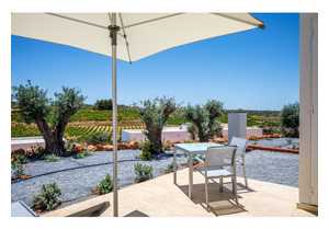 The Vines is a brand-new resort of holiday-home, located in the heart of a renowned wine estate