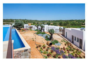 The Vines is a brand-new resort of holiday-home, located in the heart of a renowned wine estate