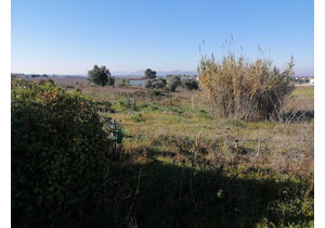 15000m2 land ideal for campervan park