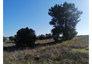 15000m2 land ideal for campervan park