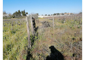 15000m2 land ideal for campervan park