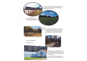 Farm with 2 hectares