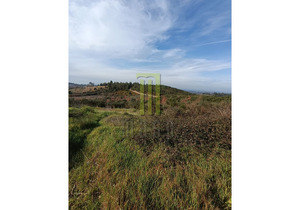 Farm with an approved project for a 3 bedroom house and 16,280 m2 of land