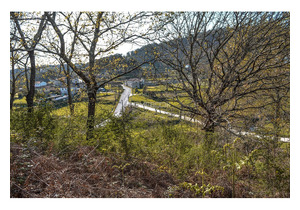 land with Vineyard  em Travanca - Amarante 5.8 acres