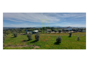 4 bedroom house ready to move into with 3,564 m2 of land
