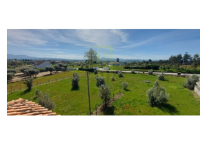 4 bedroom house ready to move into with 3,564 m2 of land