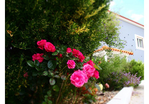 Lakeview 4 Bed - class-A renovated Villa