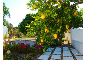 Lakeview 4 Bed - class-A renovated Villa