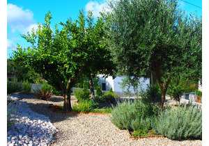 Lakeview 4 Bed - class-A renovated Villa