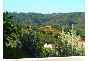 Lakeview 4 Bed - class-A renovated Villa