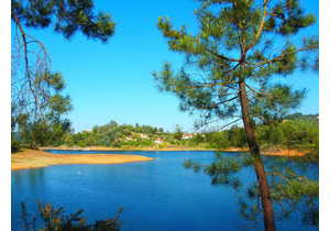 Lakeview 4 Bed - class-A renovated Villa