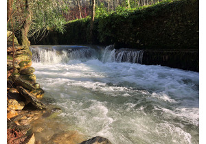 Quinta do Rio