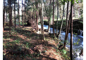 Quinta do Rio