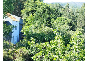Quinta do Rio
