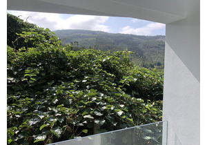 Quinta do Rio