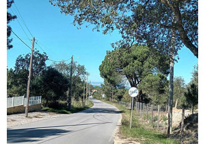 Farm with 5375m2, with 1 bedroom house, close to beaches.