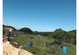 Farm with 5375m2, with 1 bedroom house, close to beaches.