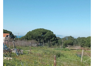 Farm with 5375m2, with 1 bedroom house, close to beaches.