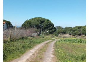 Farm with 5375m2, with 1 bedroom house, close to beaches.