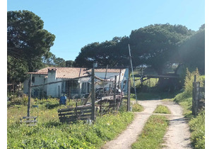 Farm with 5375m2, with 1 bedroom house, close to beaches.