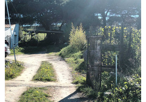 Farm with 5375m2, with 1 bedroom house, close to beaches.