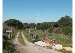 Farm with 5375m2, with 1 bedroom house, close to beaches.