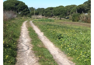 Farm with 5375m2, with 1 bedroom house, close to beaches.