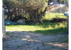 Farm with 5375m2, with 1 bedroom house, close to beaches.