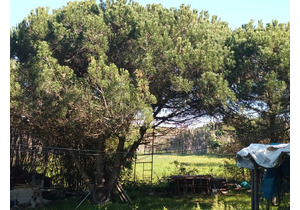 Farm with 5375m2, with 1 bedroom house, close to beaches.