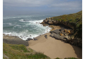 Farm with 5375m2, with 1 bedroom house, close to beaches.