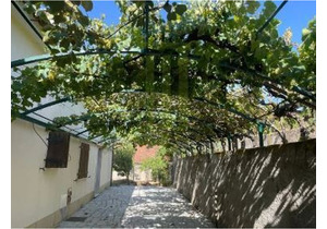 8 bedroom detached house in São Sebastião da Feira 5 minutes from the river beach