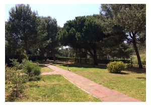 Stunning modern 3 bed apartment in private gated complex
