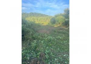 Property for sale - buildable lot