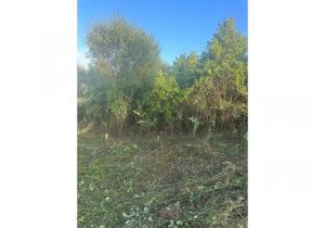 Property for sale - buildable lot