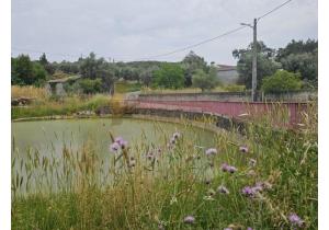 For sale: Large modern house with industrial barns, suitable for many activities.
