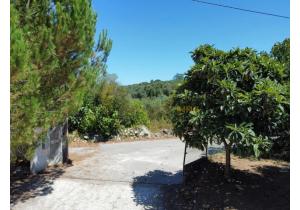 For sale: Large modern house with industrial barns, suitable for many activities.