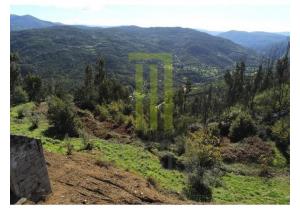 Farm with 2 granite stoned houses in ruins to be rebuilt