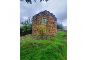Farm Aveleira with 7,000 m2 and a ruin to be renovated