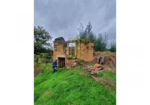 Farm Aveleira with 7,000 m2 and a ruin to be renovated